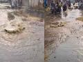 उल्हासनगरात गटारीचे पाणी रस्त्यावर; सर्वत्र दुर्गंधी व चिखल - Marathi News | Sewer water on the road in Ulhasnagar disaster and mud everywhere | Latest kalyan-dombivli News at Lokmat.com