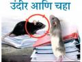 उंदीर आणि चहा - Marathi News | Rats and Tea | Latest editorial News at Lokmat.com