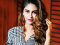 अभिनेत्री क्रिस्टल डिसूजाचा हा हटके अंदाज पाहिलात का.. - Marathi News | krystle douza hot and beautiful looks | Latest filmy Photos at Lokmat.com