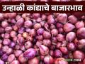 Kanda Bajar Bhav : कांदा वाहतूक खर्च निघणंही कठीण, लासलगावमध्ये काय दर मिळतोय?  - Marathi News | Latest News Todays Kanda bajarbhav difficult to cover the cost of transporting onions to market | Latest agriculture News at Lokmat.com