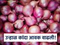 Kanda Market Update : लासलगावला उन्हाळ कांद्याची आवक, काय भाव मिळाला? वाचा सविस्तर  - Marathi News | Latest News Kanda Market Update Summer onion arrival in Lasalgaon, see kanda bajarbhav Read in detail | Latest agriculture News at Lokmat.com