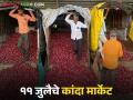 Kanda Market : सोलापूर, लासलगाव कांदा मार्केटमध्ये चढ-उतार, वाचा आज काय भाव मिळाला?  - Marathi News | Latest News Solapur, Lasalgaon onion market sees fluctuations, see todays kanda market prices | Latest agriculture News at Lokmat.com