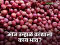 Onion Bajarbhav : लासलगाव-निफाड, विंचूर बाजारात उन्हाळ कांद्याला सारखाच भाव, वाचा आजचे बाजारभाव - Marathi News | Latest News Todays Onion Bajarbhav in lasalgaon Market yard check onion price | Latest agriculture News at Lokmat.com