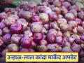 Kanda Market : नागपूर, पुणे, सोलापूर आणि नाशिकमधील कांदा बाजारभाव अपडेट, वाचा सविस्तर  - Marathi News | latest News Kanda bajarbhav Onion market price update in Nagpur, Pune, Solapur and Nashik, read in detail | Latest agriculture News at Lokmat.com