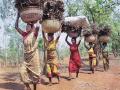 आदिवासी विभागानेच केला आदिवासींमध्ये भेदभाव - Marathi News | The tribal department discriminated against the tribals | Latest nagpur News at Lokmat.com