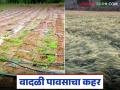Unseasonal Rain : उकाड्यानंतर आभाळ फुटलं; नागपूरसह विदर्भात वादळाचा कहर - Marathi News | latest news Unseasonal Rain: After the heat, the sky broke; Storm wreaks havoc in Vidarbha including Nagpur | Latest agriculture News at Lokmat.com