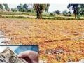 अवकाळीने तीन एकर शेती उद्ध्वस्त; भरपाई १०८० रुपये ! - Marathi News | Bad weather destroyed three acres of agriculture; farmer got Compensation of 1080 rupees! | Latest bhandara News at Lokmat.com
