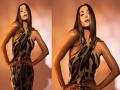 अब रुक भी जाओ...! मलायकाच्या फोटोवर बहिणीची कमेंट, पाहा फोटो - Marathi News | malaika arora shares latest pictures in animal print dress sister amrita arora and friends reac | Latest filmy Photos at Lokmat.com