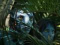Avatar The Way of Water Trailer:  नादखुळा...! ‘अवतार- द वे ऑफ वॉटर’चा नवा ट्रेलर पाहिलात का? - Marathi News | Avatar: The Way of Water new Official Trailer Second Trailer Released People Are Excited | Latest filmy News at Lokmat.com