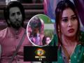 Bigg Boss 15 : विशाल कोटियनने अफसाना खानला केस धरून फरफटलं?  व्हिडीओ पाहून फॅन्स शॉक्ड - Marathi News | Bigg Boss 15 did vishal kotian dragged afsana khan by her hair shocking video | Latest filmy News at Lokmat.com