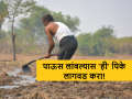 Crop Management : पाऊस लांबल्यास 'या' पिकांची लागवड करा, वाचा सविस्तर  - Marathi News | Latest News Crop Management Rains are delayed, now plant these crops, read in detail  | Latest agriculture News at Lokmat.com