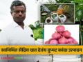 Organic Onion Farming : स्वनिर्मित सेंद्रिय निविष्ठेचा वापर करत ज्ञानेश्वरराव घेतात एकरी १५० क्विंटल लाल कांदा - Marathi News | | Latest agriculture News at Lokmat.com