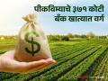 Crop Insurance : पीकविम्याचे ३७१ कोटी रुपये शेतकऱ्यांच्या बँक खात्यात वर्ग; ७३ हजार शेतकरी अपात्र - Marathi News | Crop Insurance: 371 crore rupees of crop insurance will be deposited in farmers' bank accounts; 73 thousand farmers are ineligible | Latest agriculture News at Lokmat.com