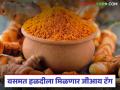 'वसमत हळद' जीआय टॅगिंग अंतिम टप्प्यात; शेतकऱ्यांनो अधिकृत वापरासाठी आजच नोंदणी करा - Marathi News | 'Vasmat Turmeric' GI tagging in final stages; Farmers register today for official use | Latest agriculture News at Lokmat.com
