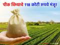 राज्याच्या 'या' जिल्ह्यासाठी पीक विम्याचे ११८ कोटी रुपये मंजूर; वाचा सविस्तर - Marathi News | Rs 118 crore approved for crop insurance for 'this' district of the state; Read in detail | Latest agriculture News at Lokmat.com