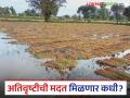 गेल्या वर्षीच्या नुकसानीची मदत यंदा तरी येईल का? अतिवृष्टीच्या मदतीची शेतकऱ्यांना प्रतीक्षा - Marathi News | Will help for last year's losses come this year? Farmers await help for heavy rains | Latest agriculture News at Lokmat.com