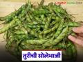 Tur Solebhaji : तुरीच्या शेंगांच्या दाण्यांची सोलेभाजी, कशी बनवतात ही भाजी, तिचे फायदे काय?  - Marathi News | Latest news Tur sole bhaji recipe How to make solebhaji tur arhar dal, what are its benefits? | Latest agriculture News at Lokmat.com