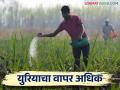 खरिपात खतांची मागणी; युरियाचा वापर वाढणार - Marathi News | Demand for Fertilizers in kharif season; Use of urea will increase | Latest agriculture News at Lokmat.com