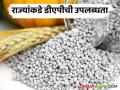Agriculture News : रब्बी हंगामासाठी राज्यात 'इतके' डीएपी उपलब्ध, जाणून घ्या सविस्तर  - Marathi News | Latest News Agriculture News How many DAP available in state for Rabi season, know more  | Latest agriculture News at Lokmat.com
