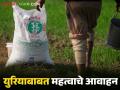 खरीप हंगामात युरिया खताचा तुटवडा होणार नाही, पण... कृषी विभागाच्या शेतकऱ्यांना महत्त्वाच्या सूचना - Marathi News | Latest news us iran war no shortage of urea fertilizer during the Kharif season | Latest agriculture News at Lokmat.com