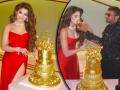 Urvashi Rautela Birthday, Actress Shares Photo of 24 Carat Gold Cake (Photos) - Hindi News | Urvashi Rautela Birthday, Actress Shares Photo of 24 Carat Gold Cake (Photos) | Latest entertainment Photos at Lokmattimes.com