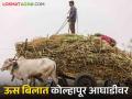 राज्यातील ऊस उत्पादक शेतकऱ्यांना बिलापोटी मिळाले ३६,७५३ कोटी - Marathi News | 36,753 crores from the bill to the sugarcane farmers in the state | Latest agriculture News at Lokmat.com