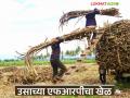 महागाईमुळे ऊस उत्पादन खर्च वाढला; केंद्र सरकारने जाहीर केलेली एफआरपी परवडणार का? - Marathi News | Sugarcane production costs have increased due to inflation; Will the FRP announced by the central government be affordable? | Latest agriculture News at Lokmat.com