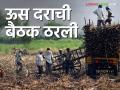 Sugarcane FRP 2024-25 : यंदाचा ऊस दर ठरणार; साखर आयुक्तांबरोबर बैठक होणार - Marathi News | Sugarcane FRP 2024-25 : This year's sugarcane rate will be fixed; A meeting will be held with the sugar commissioner | Latest agriculture News at Lokmat.com