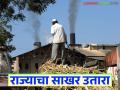 यंदा ऊस गाळप व साखर उताऱ्यात हा जिल्हा राज्यात नंबर एकवर; वाचा सविस्तर - Marathi News | This district ranks first in the state in sugarcane crushing and sugar extraction this year; Read in detail | Latest agriculture News at Lokmat.com