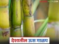 देशातील ४३९ साखर कारखान्यांची धुराडी बंद; कोणत्या राज्यात सर्वात जास्त साखर उत्पादन? - Marathi News | 439 sugar factories in the country are closed; Which state has the highest sugar production? | Latest agriculture News at Lokmat.com