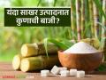 यंदाचा ऊस गाळप हंगाम संपला; सर्वाधिक साखर उत्पादन व उताऱ्यात कुणी मारली बाजी? - Marathi News | This year's sugarcane crushing season is over; who won the highest sugar production and yield? | Latest agriculture News at Lokmat.com
