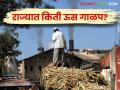 राज्यात १९९ साखर कारखान्यांनी किती केले ऊस गाळप? किती साखर उत्पादन? - Marathi News | How much sugarcane was crushed by 199 sugar factories in the state? How much sugar was produced? | Latest agriculture News at Lokmat.com