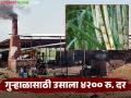 इतिहासात पहिल्यांदाच कारखान्यांपेक्षा गुऱ्हाळात उसाला मिळतोय उच्चांकी भाव; प्रतिटन किती रुपये दर? - Marathi News | For the first time in history, sugarcane is getting a higher price in jaggery unit than in factories; How much is the price per ton? | Latest agriculture News at Lokmat.com