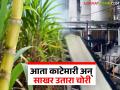 उसाला दर मिळाला पण आता काटेमारी अन् साखर उतारा चोरी कोण थांबवणार? वाचा सविस्तर - Marathi News | Sugarcane got a price but now who will stop the weight and sugar production theft of sugarcane? Read in detail | Latest agriculture News at Lokmat.com