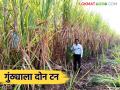 क्षारपड जमिनीत या प्रणालीचा वापर करून एकरी ८२ टन ऊस उत्पादन घेणाऱ्या सलगर बंधूंची यशकथा - Marathi News | The success story of the Salgar brothers who achieved 82 tons of sugarcane per acre yield using this system on saline land | Latest agriculture News at Lokmat.com