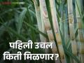 साखर कारखान्यांचा हंगाम सुरू पण किती मिळणार पहिली उचल - Marathi News | The season of sugar factory has started but how much will the first installment? | Latest agriculture News at Lokmat.com
