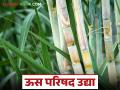 Swabhimani Us Parishad : स्वाभिमानीची २४वी ऊस परिषद उद्या; 'या' दोन मुद्यांवर परिषद गाजण्याचे संकेत - Marathi News | Swabhimani Us Parishad : Swabhimani's 24th Sugarcane Parishad tomorrow; Indications that the conference will be held on 'these' two issues | Latest agriculture News at Lokmat.com