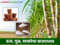 Sugar Market : गुळापेक्षा साखर तेजीत, ऊसाला काय भाव मिळतोय? वाचा सविस्तर  - Marathi News | Latest News Sugar Market see todays sakhar and gul market price Read in detail  | Latest agriculture News at Lokmat.com