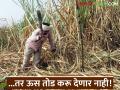 ...तोपर्यंत ऊस तोडणी करू देणार नाही, ऊस उत्पादकांच्या बैठकीत झाला ठराव, वाचा सविस्तर  - Marathi News | Latest News sugar Cane harvesting will not be allowed sugar cane farmers meeting decision | Latest agriculture News at Lokmat.com
