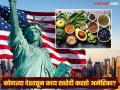 इतका मोठा देश तरी इतर देशांकडून खाण्या-पिण्याच्या गोष्टी मागवतो अमेरिका, भारताकडून काय घेतो? - Marathi News | America is biggest consumer market in the world exports food from foreign | Latest international Photos at Lokmat.com
