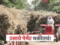 नाशिकच्या 'या' कारखान्याने अजूनही गाळप हंगामातील उसाचे पेमेंट दिले नाही, वाचा सविस्तर  - Marathi News | latest News Nashik sugar factory still hasn't paid for sugarcane from the crushing season, read in detail | Latest agriculture News at Lokmat.com