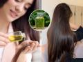 रखरखीत केस होतील सिल्की, चमकदार- आठवड्यातून फक्त एकदा 'हा' उपाय करा, केस राहतील काळेभोर - Marathi News | use of aloe vera for silky hair, how to use aloe vera for dry hair, aloe vera for silky and shiny hair  | Latest sakhi News at Lokmat.com