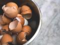 अंड्याच्या कवचाचे 'हे' फायदे तुम्हाला माहिती आहेत का? - Marathi News | home remedies of egg shells | Latest health Photos at Lokmat.com