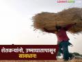 ऊन वाढलंय! उष्माघात कसा टाळावा, काय उपाय करावेत, आहार कसा घ्यावा? - Marathi News | latest news Read in detail what measures should be taken to avoid heatstroke | Latest agriculture News at Lokmat.com