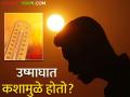 वाढत्या उन्हामुळे.. ही दिसतायत लक्षणे? काय घ्याल खबरदारी - Marathi News | Due to increasing summer.. these symptoms are seen? What precautions will you take? | Latest agriculture News at Lokmat.com