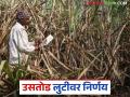 नवीन कायद्यामुळे ऊस तोडणी मजुरांकडून होणारी लूट थांबणार; जाणून घ्या सविस्तर - Marathi News | New law will stop looting by sugarcane harvesting labours; Know the details | Latest agriculture News at Lokmat.com
