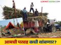 Ustod Kamgar : साखर सम्राटांच्या जिल्ह्यात ऊसतोड मजुरांची परवडच; महामंडळाचा लाभ कधी मिळणार? - Marathi News | Ustod Kamgar : Sugarcane harvesting laborers are struggling due to lack of facilities; When will the corporation get the benefits? | Latest agriculture News at Lokmat.com