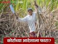 Ustod Mahila Kamgar : कोर्टाच्या आदेशाला फाटा? बीडमध्ये गर्भवती महिलांकडून ऊसतोड सुरूच! - Marathi News | latest news Ustod Mahila Kamgar: Court order violated? Sugarcane cutting by pregnant women continues in Beed! | Latest agriculture News at Lokmat.com