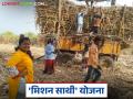 Ustod Mahila Kamgar : ऊसतोड मजुरांच्या आरोग्यासाठी सरकार जागे; 'मिशन साथी' योजनेचा मोठा निर्णय वाचा सविस्तर - Marathi News | latest news Ustod Mahila Kamgar: Government wakes up for the health of sugarcane workers; Read the big decision of 'Mission Saathi' scheme in detail | Latest agriculture News at Lokmat.com