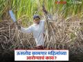 Ustod Kamgar Mahila : महाराष्ट्रातील ऊसतोड कामगार महिलांना गर्भपिशवी का काढावी लागतेय?  - Marathi News | Latest News Ustod Kagmar Mahila sugarcane women workers in Maharashtra have their wombs removed | Latest agriculture News at Lokmat.com
